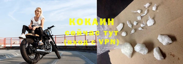 трава Новодвинск