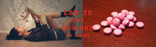 mdpv Новозыбков