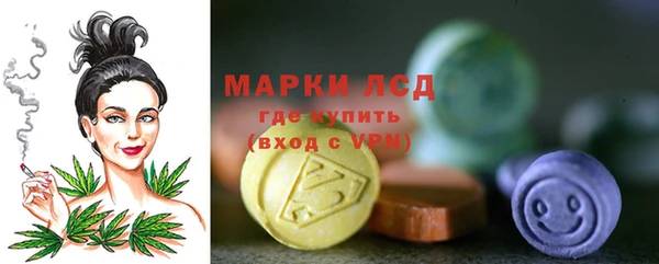 mdpv Новозыбков