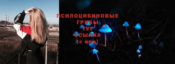 молекула духа Болохово