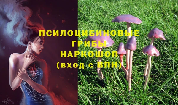 mdpv Новозыбков