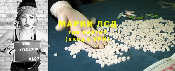 PSILOCYBIN Болотное