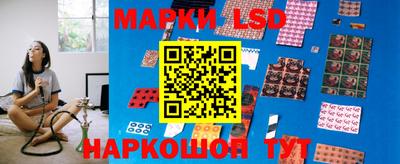 спиды Бийск