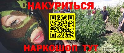 спиды Бийск