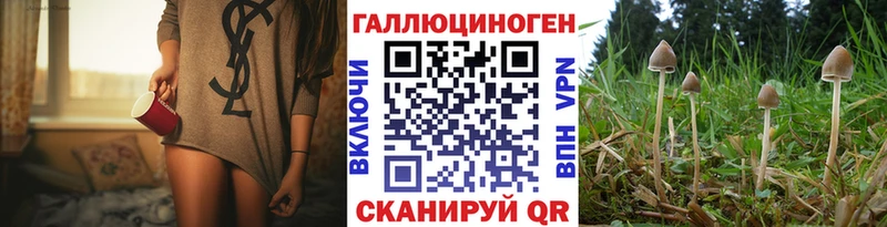 Псилоцибиновые грибы MAGIC MUSHROOMS  Владикавказ 