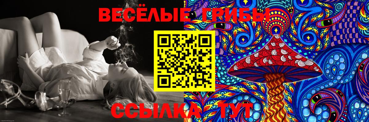 Галлюциногенные грибы Magic Shrooms  Галлюциногенные грибы Psilocybe  Вход с VPN  Владикавказ 