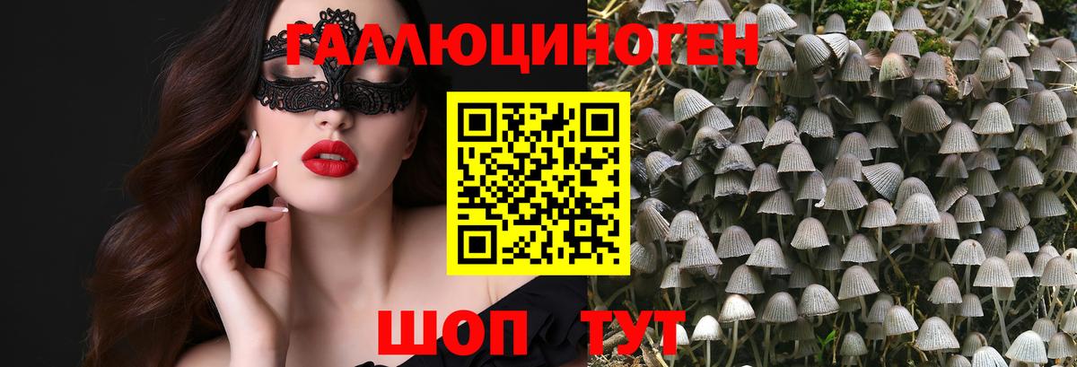 Псилоцибиновые грибы Magic Shrooms  Владикавказ 